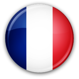 France flag icon