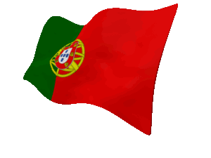 Portugal flag icon